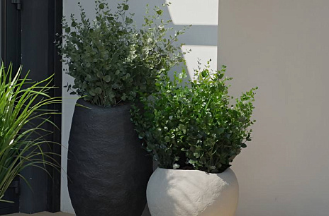 Искусственный эвкалипт: просто, стильно, элегантно